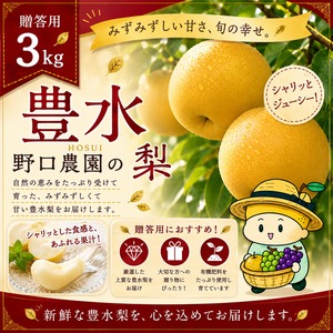 ⬛︎贈答用 豊水3kg