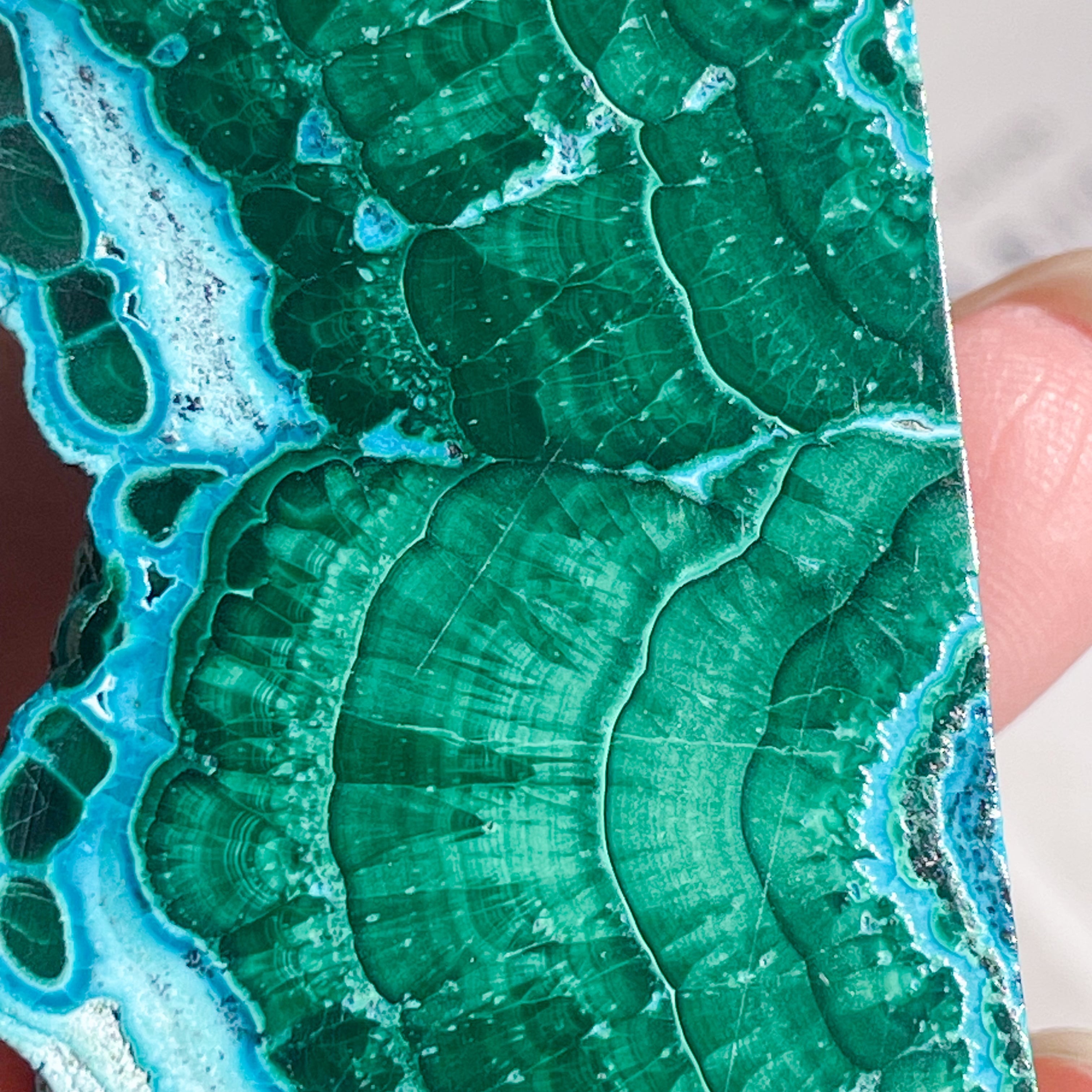 Chrysocolla & Malachite 10 ✧ クリソコラ & マラカイト (共生原石