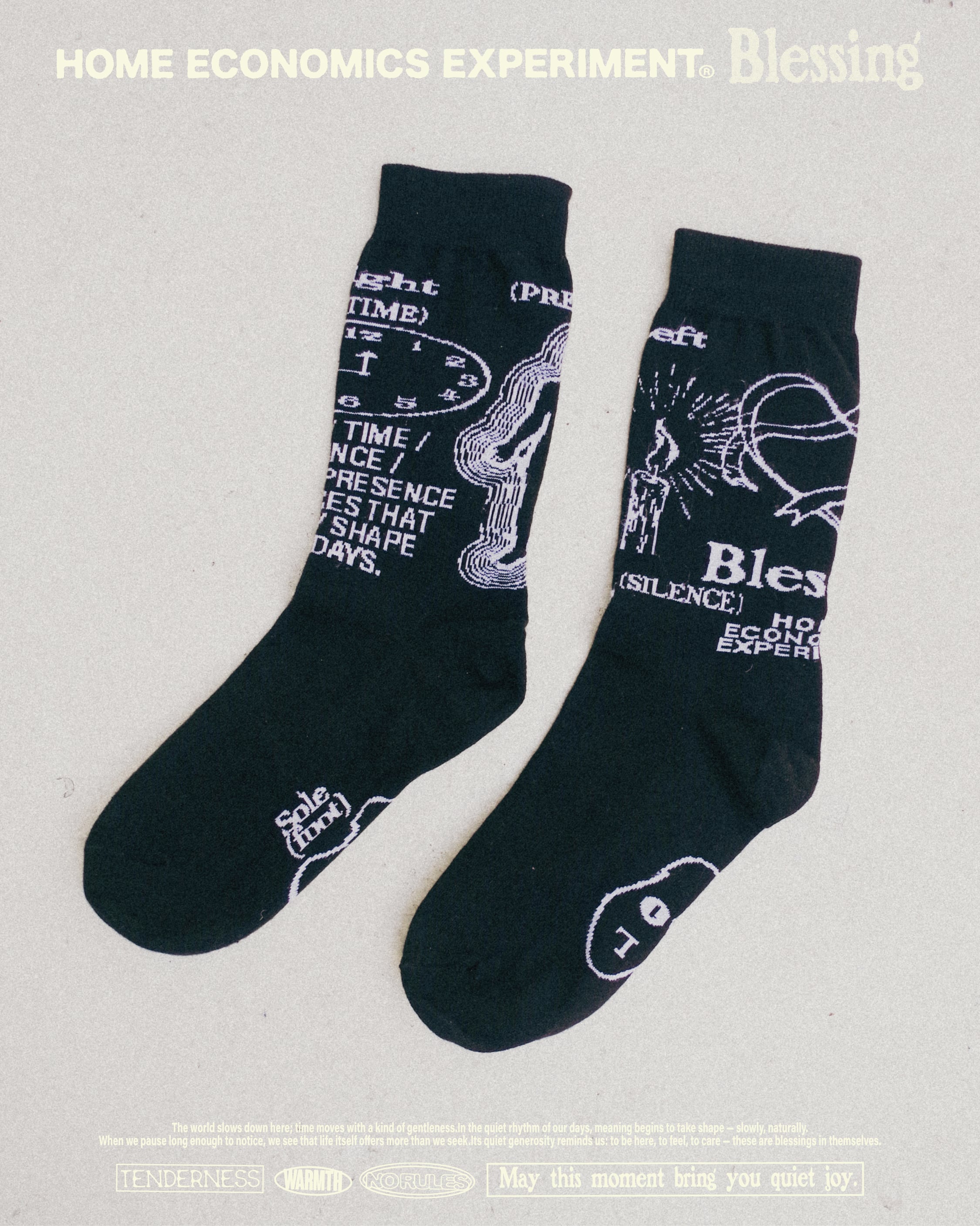 HOME ECONOMICS EXPERIMENT