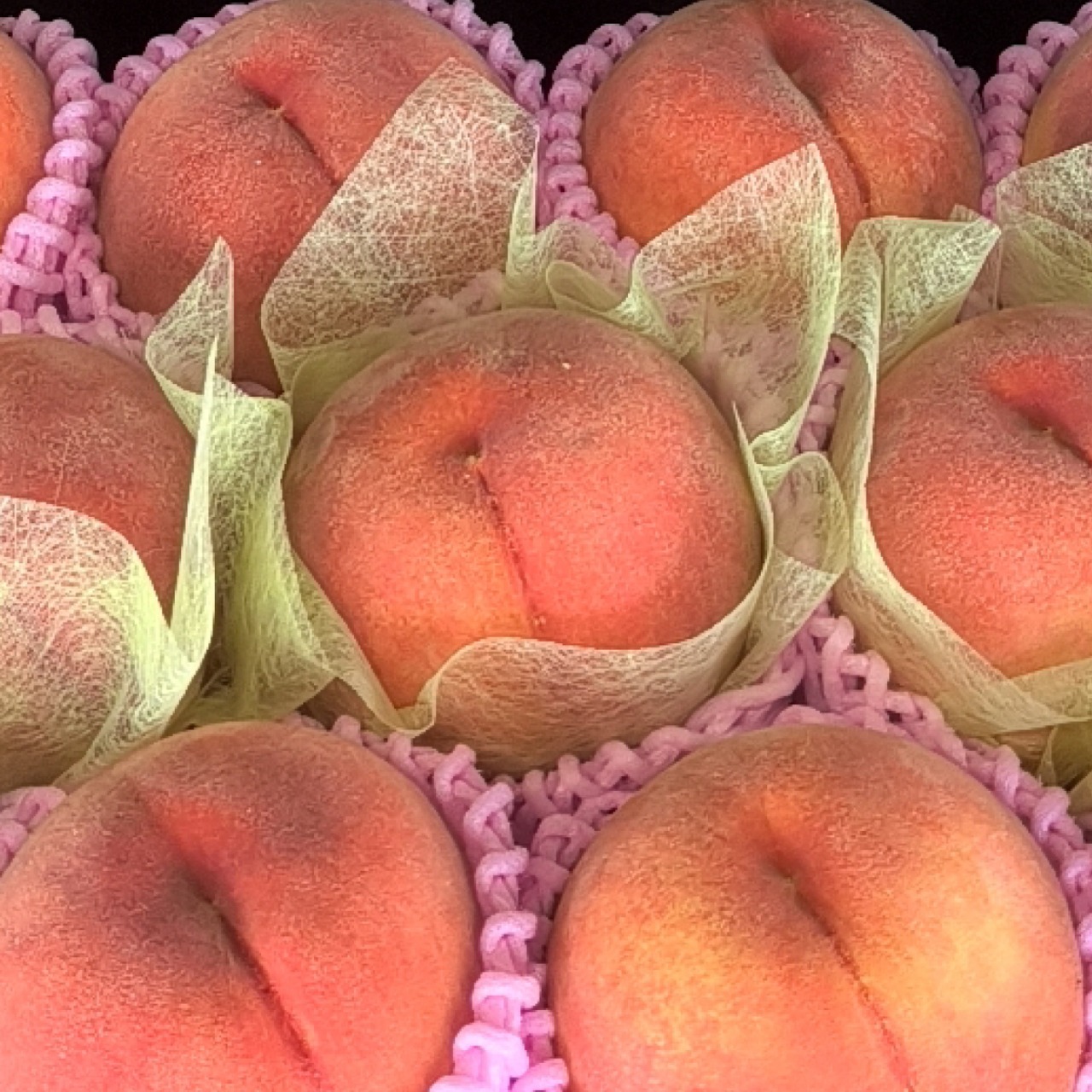 福島・まるせい果樹園の旬を贈る極上完熟桃ギフト【御贈答用】8個入り - 3