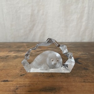 ふわふわアザラシのガラス