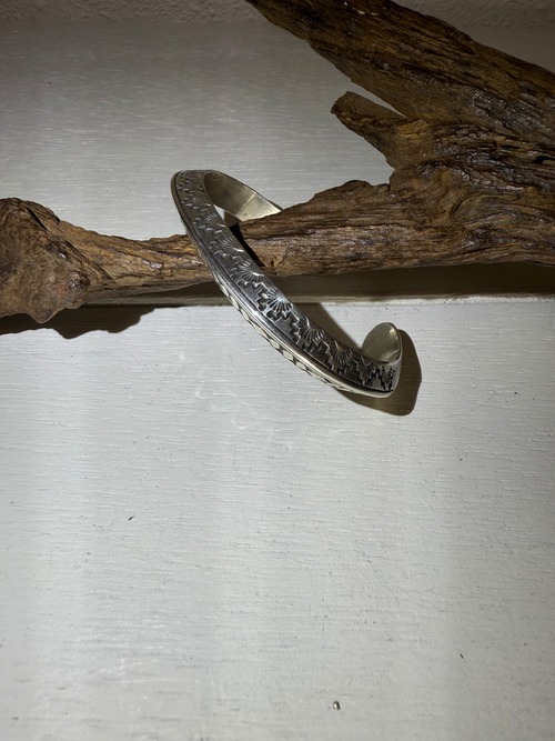 NAVAJO "Wylie Secatero"