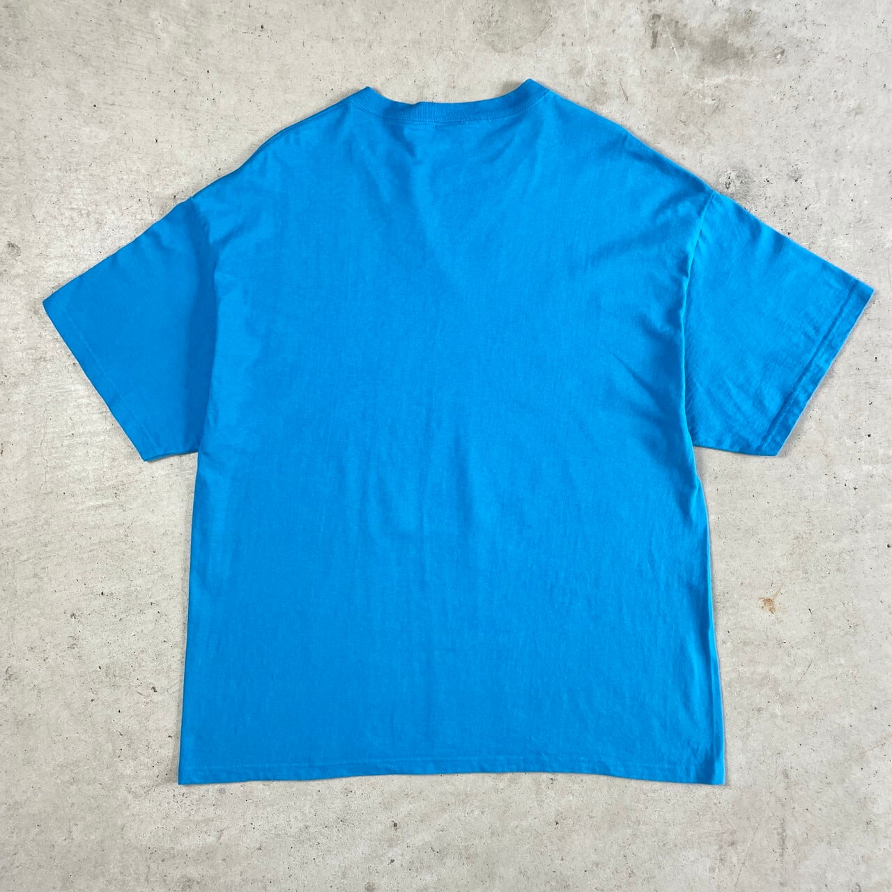 あ〜きゃん♬様　レア　高品質　カーネリアン　イルカ　ドルフィン イルカ ドルフィン アート プリント Tシャツ メンズXL 古着 水色