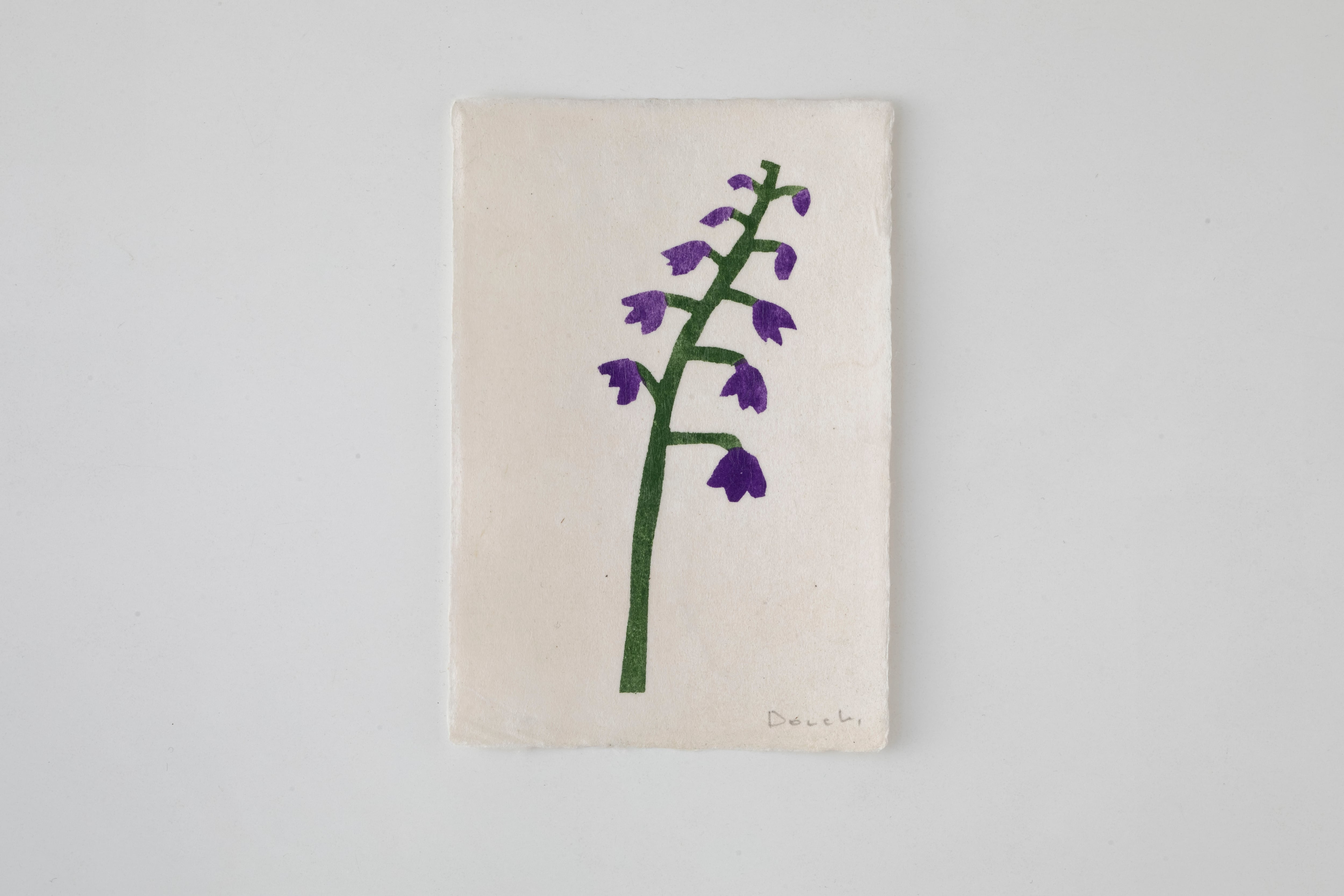 W6-6:Field Notes Prints(M)/ Donchi
