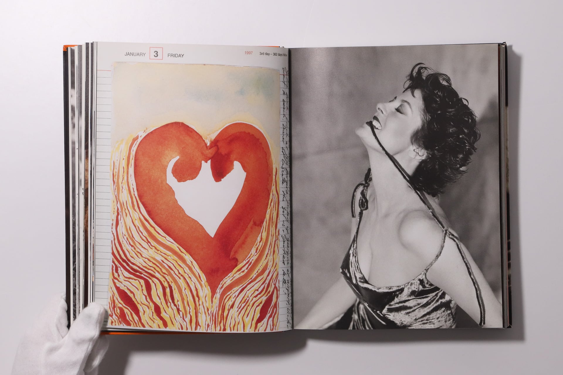 sante d'orazio / carnets intimes | CROSS_BOOKSHELF | VISIONAIRE