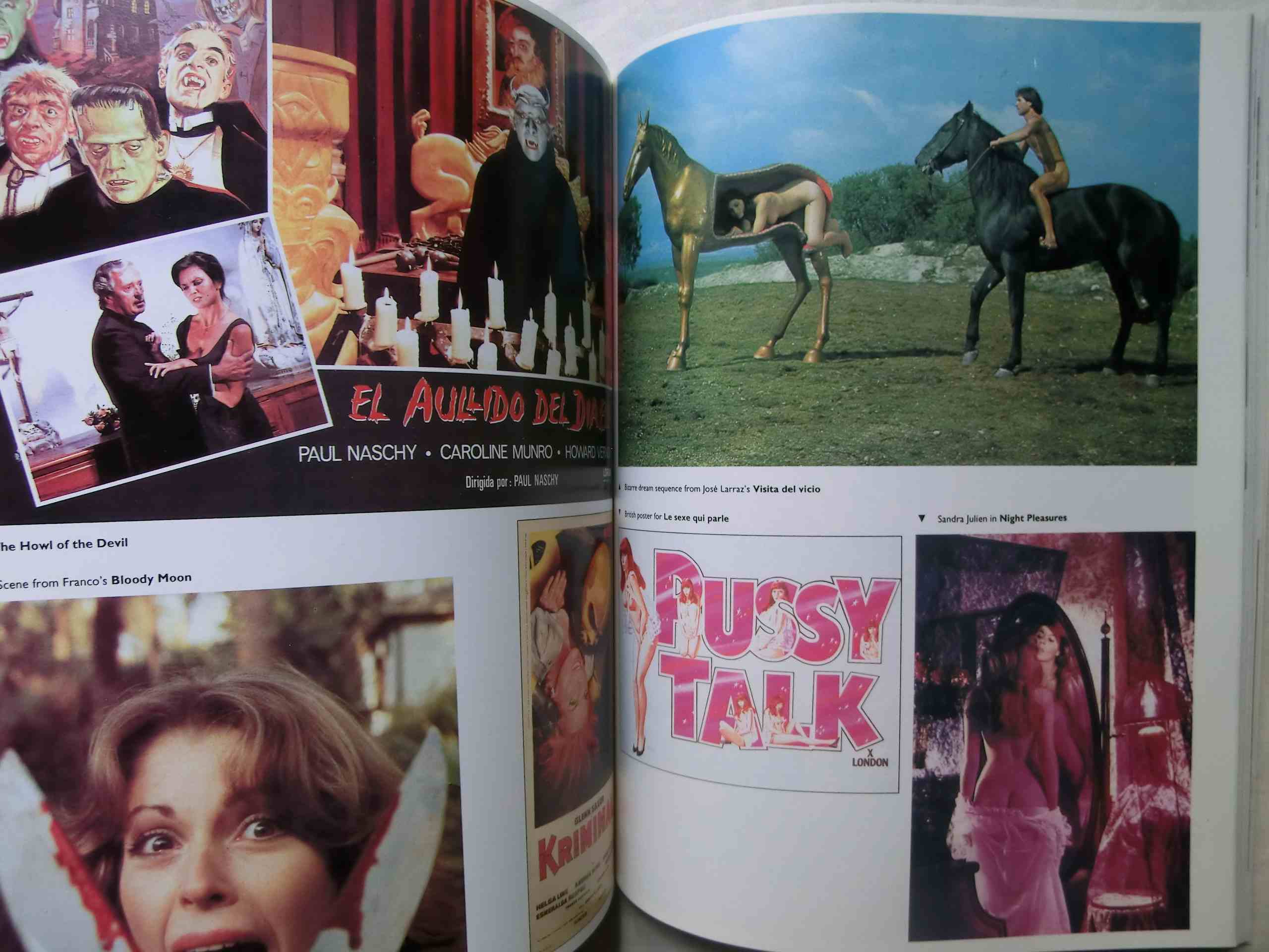 ヨーロッパ エクスプロイテーション映画 セックス&ホラー Immoral