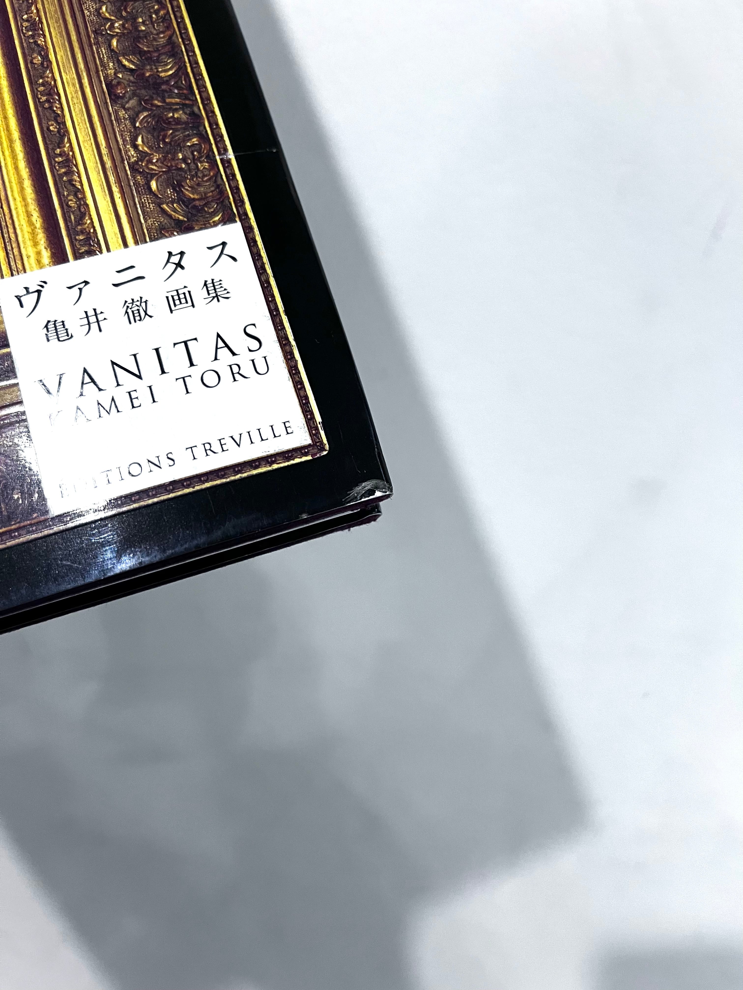 VANITAS ヴァニタス KAMEI TORU 亀井徹 画集 | zbooks
