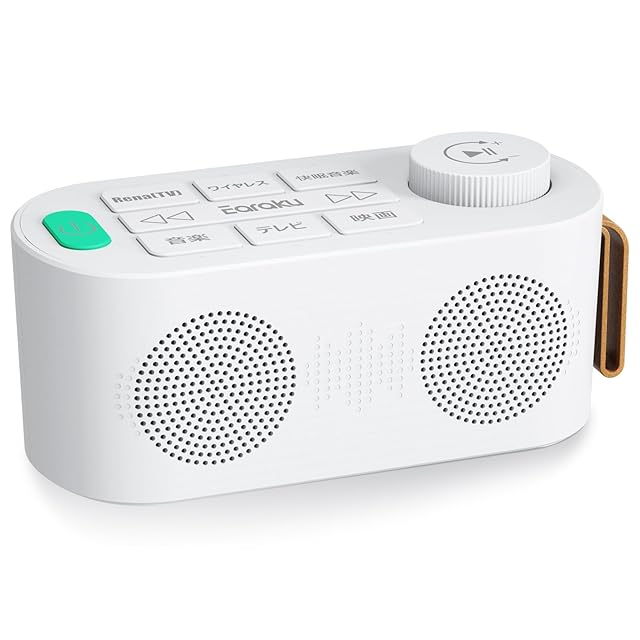 Panasonic WA-28 ワイドフレックスアンプ 120W | PAY ID