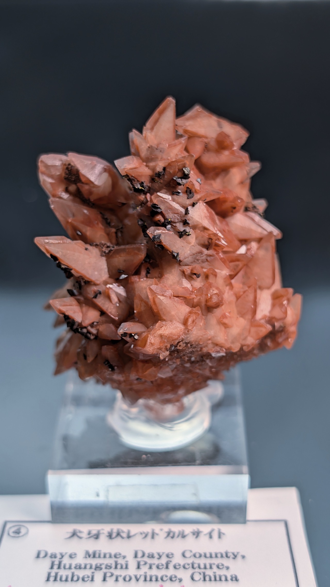 【toru様専用※ラブラドプレゼント】犬牙状レッドカルサイト  Daye Mine, Daye County, Huangshi Prefecture, Hubei Province, China  R5-5500715