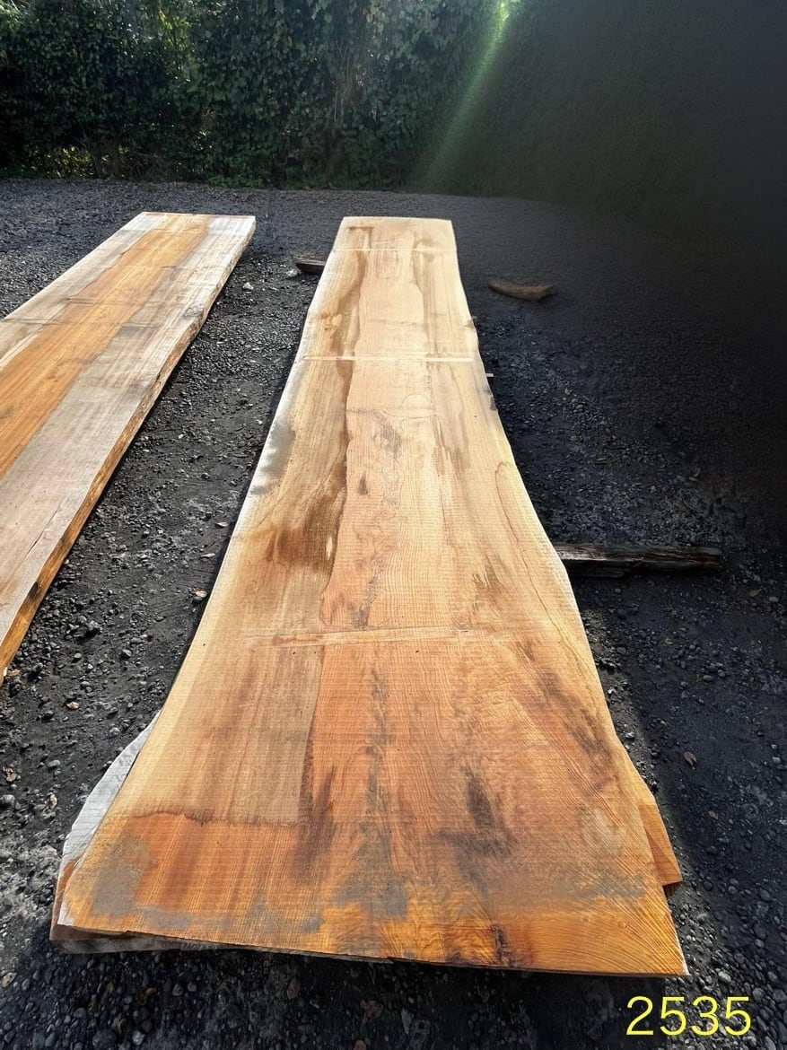 杉(スギ)_4000×950×75_原板 G2535