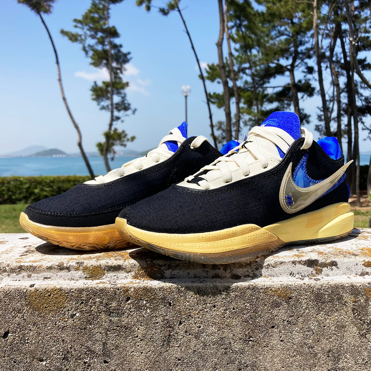 希少 NBA NIKE ナイキ レブロン13 オン コート　lebron