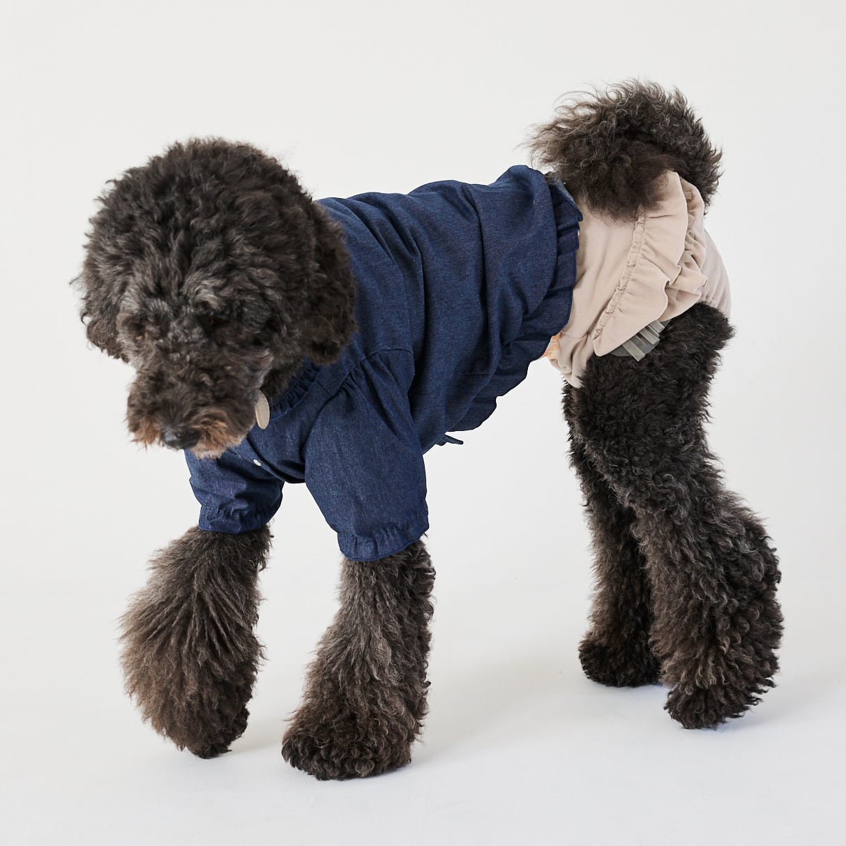 252502大型犬サイズ］デニムフリルブラウス | 犬服ブランド 2e