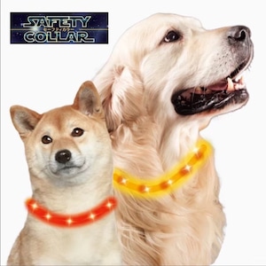 セーフティカラー55 SAFETY COLLAR / 犬用ライト お散歩用ライト LED USB充電式 防水