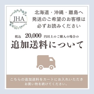 【追加送料】20,000円以上ご購入の北海道、沖縄、離島のお客様用