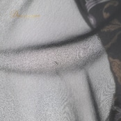 社交ダンス 衣装 スタンダードドレス ワンピース ドレス ブラック系 ホワイト系 ブラウン系 パスタイム PASTIME 日本製 黒 柄 模様 レース ダンス パーティ 発表会 伸縮 軽い ストレッチ素材 フォーマル 大人 レディース 薄手 華やか ダンス用 長袖 おしゃれ 上品 パーティードレス