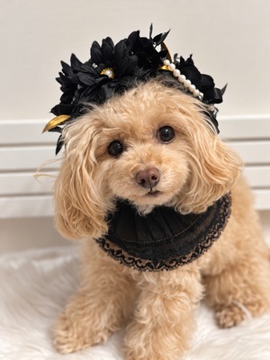 Black Opera Flower Jewelry（vol.1） - 2way Headdress & Necklace　わんちゃん用   花冠・チョーカーネックレス（バレッタ付き）