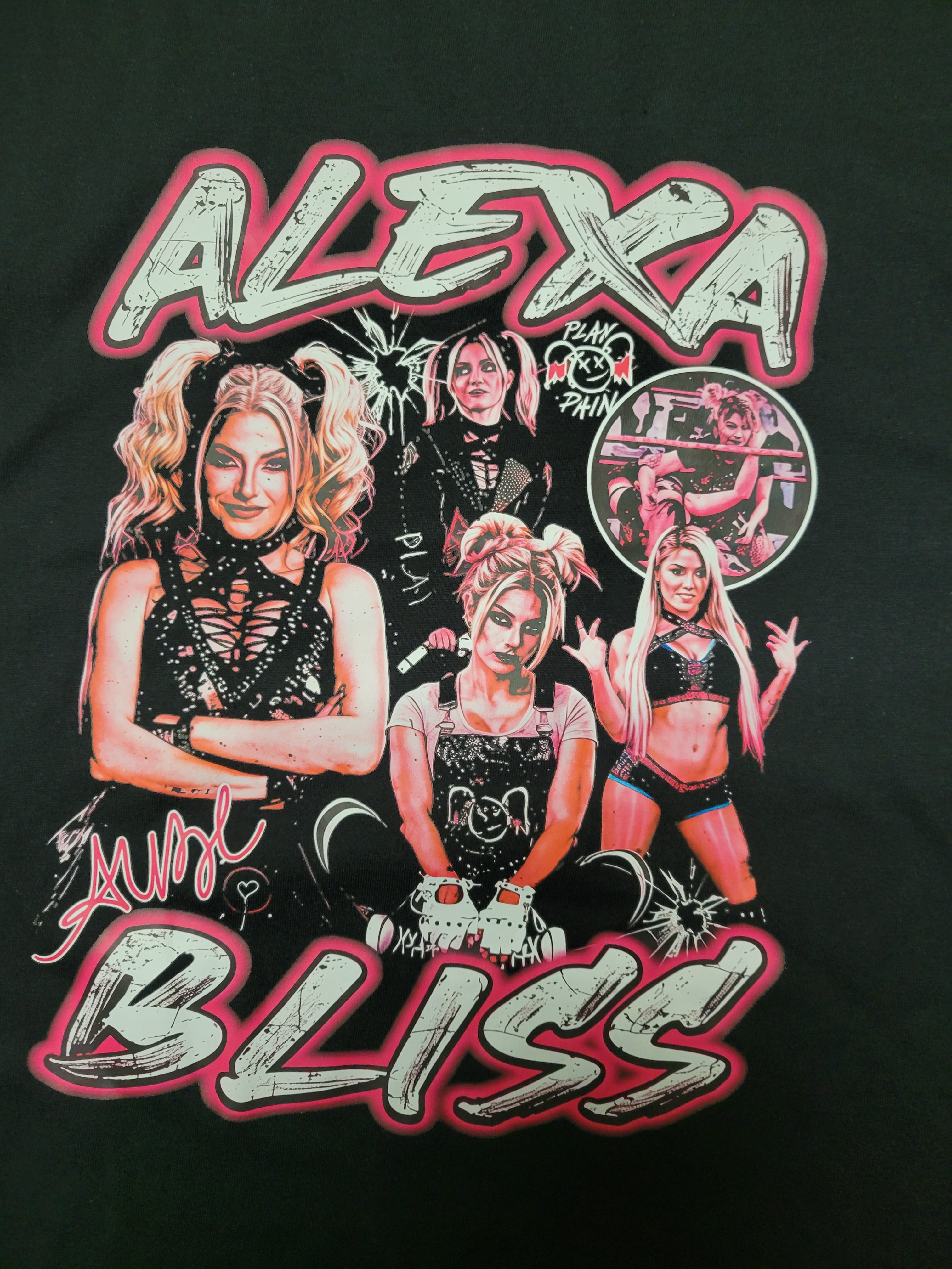 全日本プロレスパンフレット NWAチャンピオンシリーズ | みちのく