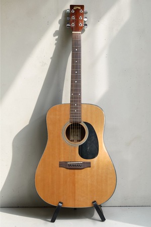 S.Yairi アコースティックギター YDT-18/N （ハードケース付き）