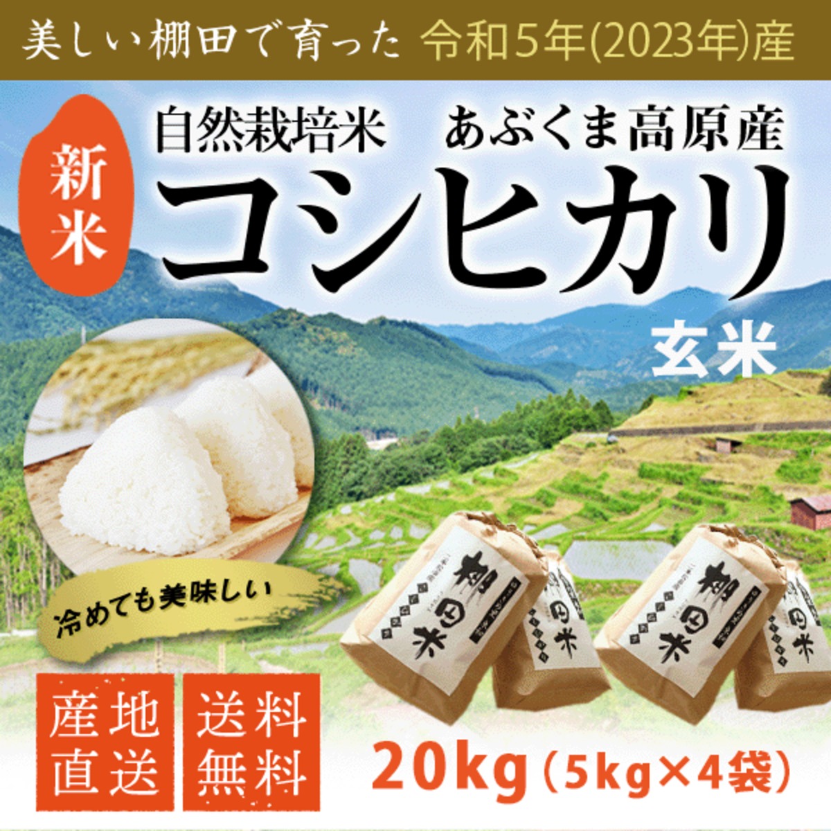 2020年度　新米岐阜県産はつしも　玄米20キロ