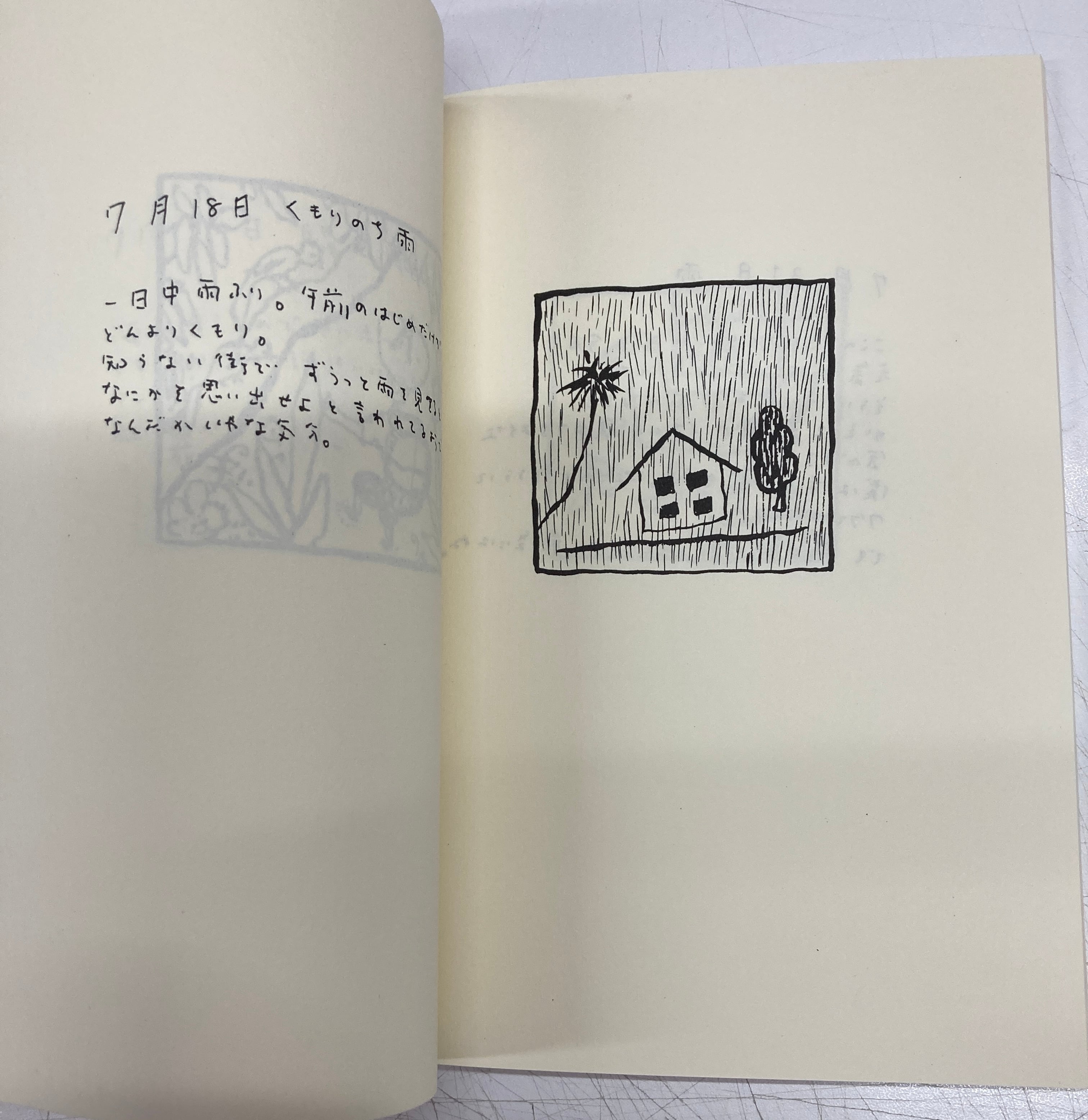 荒井良二　ホーライワンコッチャナイの日記、ピッタリーナ二冊セット　絶版入手困難 荒井良二 ホーラ・イワンコッチャナイの日記 限定300 116/300 1996年