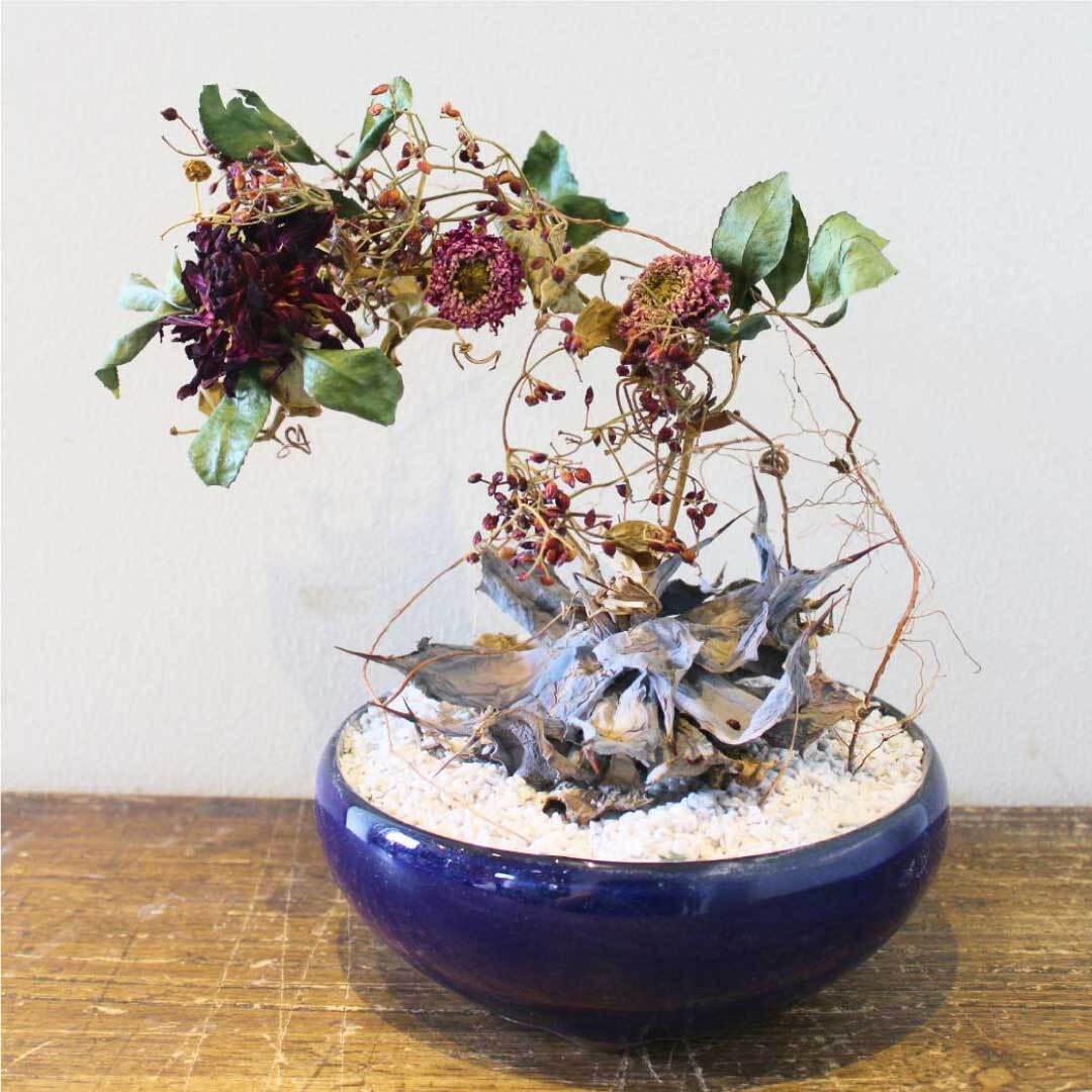 オーダーメイド】蒼枯鉢[SOKO-BACHI] | ハグレ ONLINE STORE