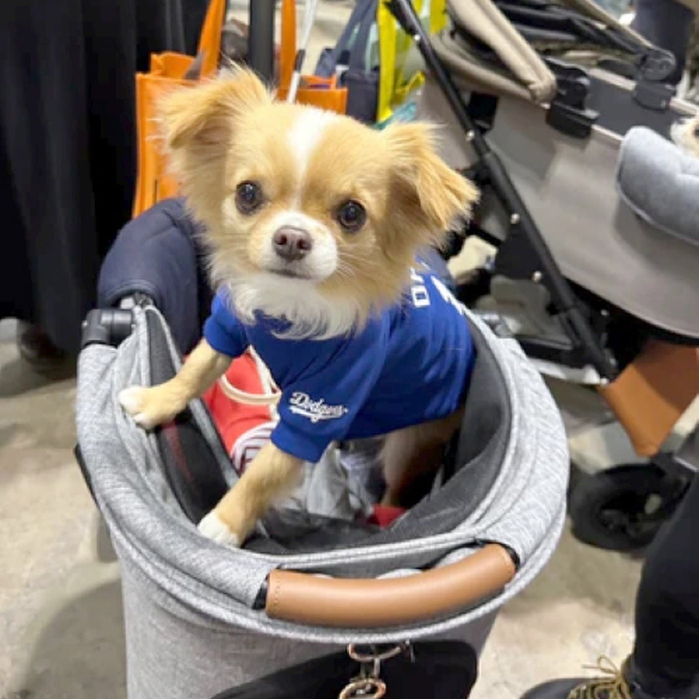 犬用Tシャツ Sサイズ 大谷翔平モデル MLB公式 ドジャース 超小型犬用