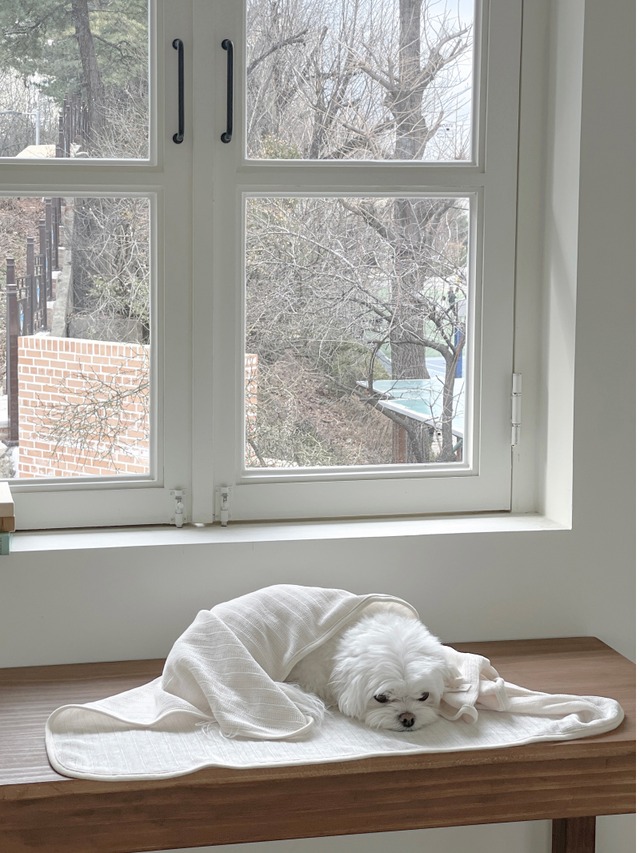 〈予約アイテム〉EYOU ブランケット / ベルベティブランケット