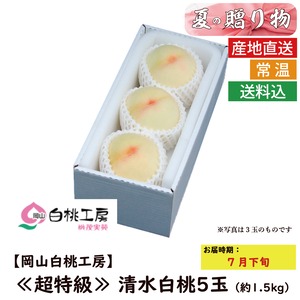 《超特級》清水白桃　5玉　約1.5kg【お中元】（OK22S-02）