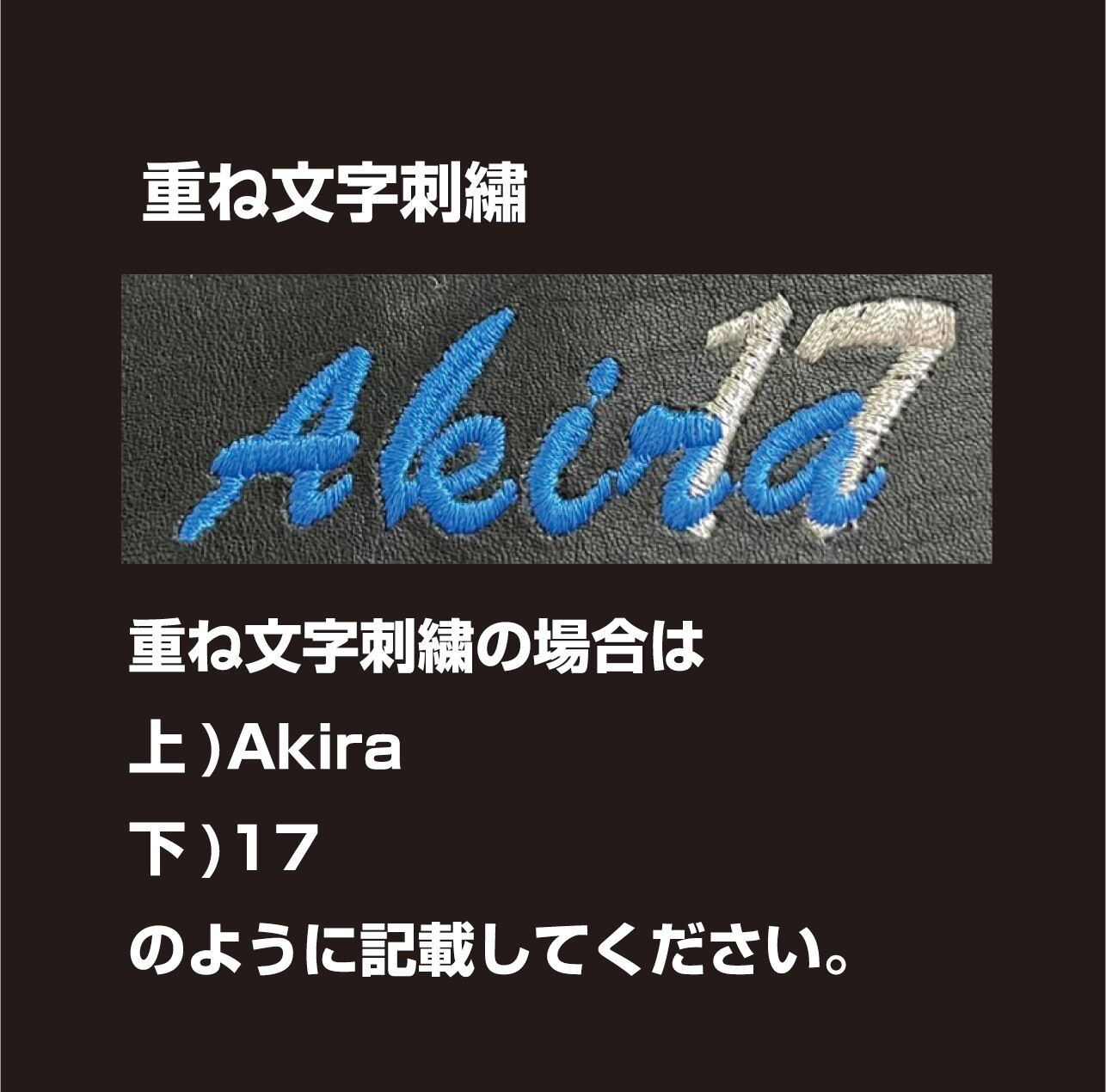 刺繍無料】Worldpegasus ワールドペガサス グラブケース WEBC5FGC2