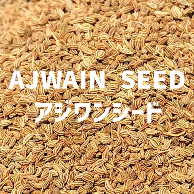 【100g】アジワン（タイモルシード) AJWAIN  SEED Ajwain Seed  【シードタイプ 】【スパイス 香辛料 調味料 薬膳 料理 味付け 乾燥 ドライ】【nature ナチュール】