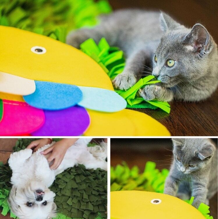 Petique ペティーク ノーズワークマット 芝生 スナッフルマット パズル