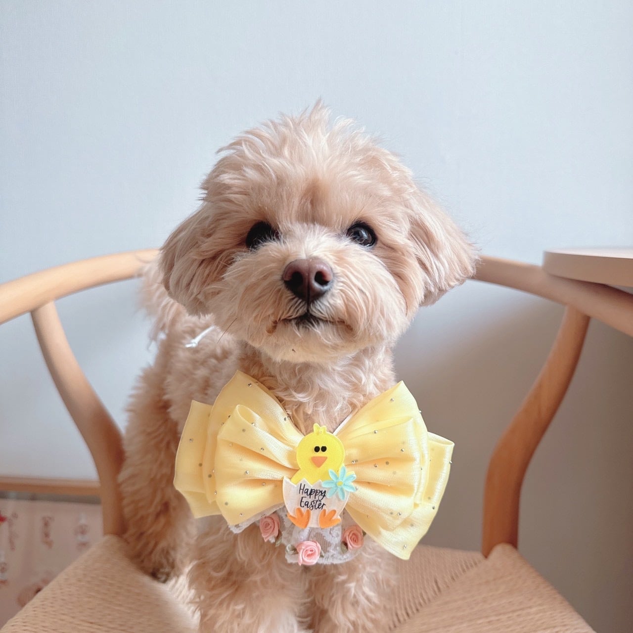 イエローリボンイースターネックバンド