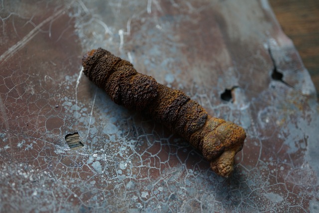 リモナイト Goethite var. Limonite 1553