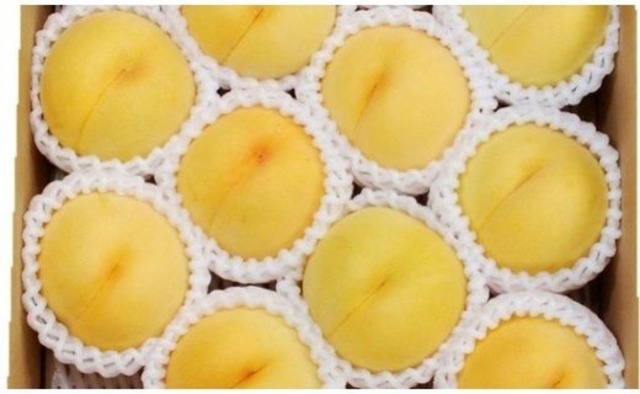 【桃】スウィート光黄 ３㎏（8ｰ10個） ＜ 8月中旬～下旬頃の限定品♬＞ Peach "Sweet Kouki"