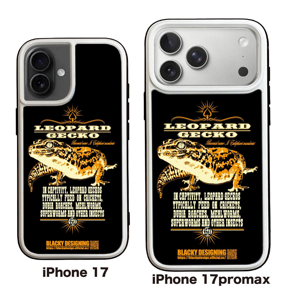 3c4cc2dc4e8fb7f953f5bbb3fa06f6