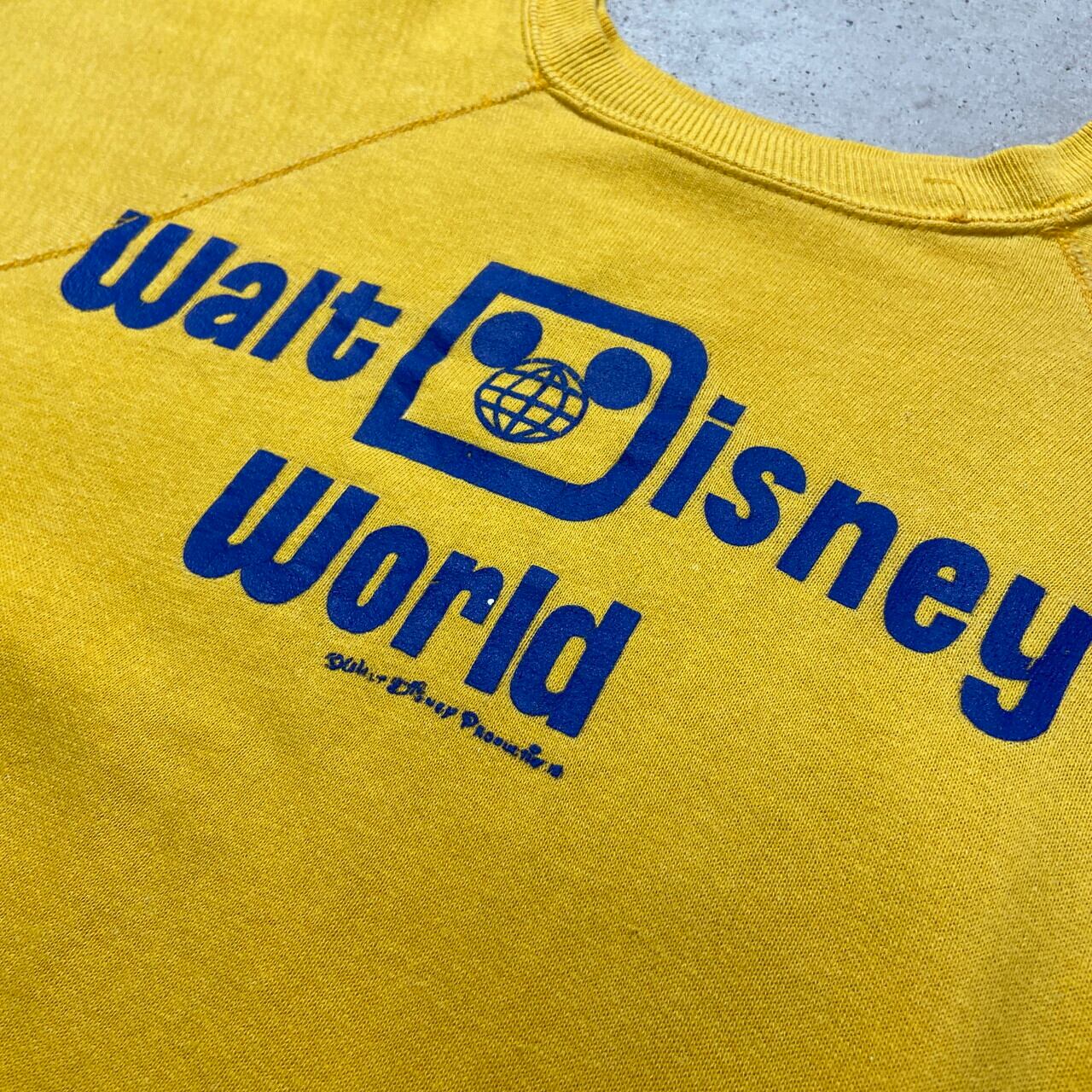 70年代 Walt Disney World ウォルトディズニーワールド プリント 
