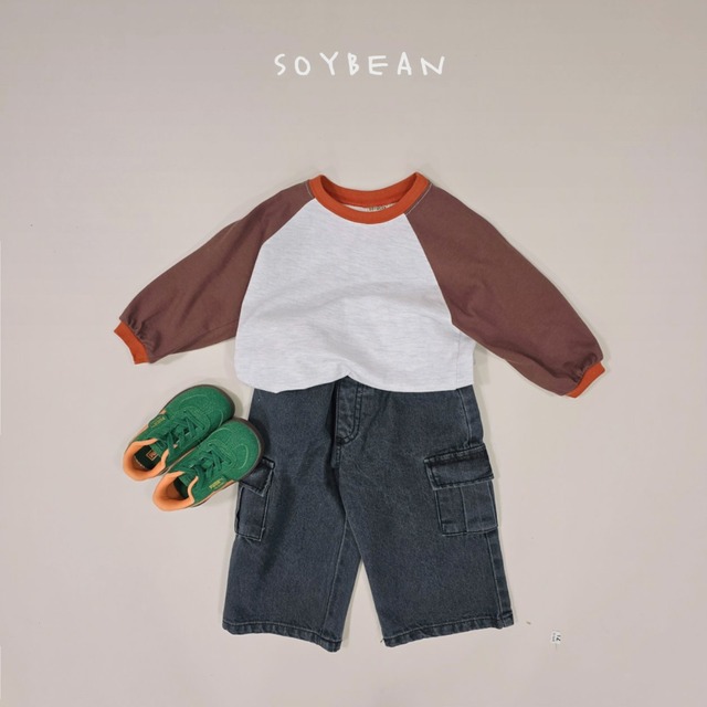《送料無料》予約：ビンテージラグランT【soybean】