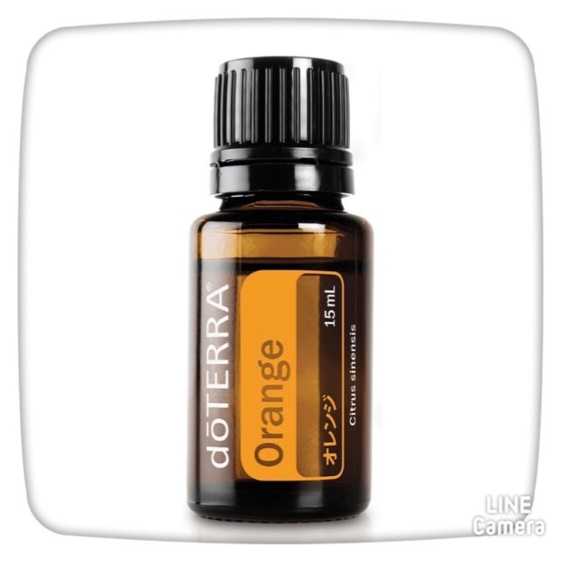 オレンジ 15ml ドテラエッセンシャルオイル | PAY ID