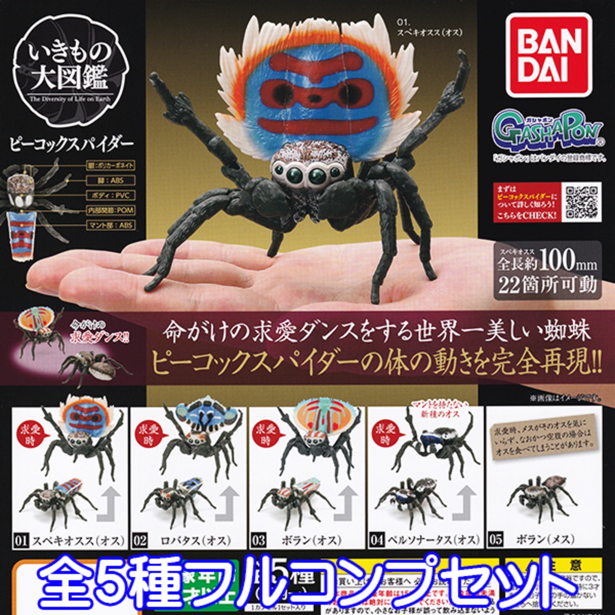 いきもの大図鑑 ピーコックスパイダー 世界一美しい蜘蛛 クモ 昆虫 グッズ フィギュア ガチャ ガシャポン 模型 バンダイ 全5種フルコンプセット 即納 数量限定 セール品 お宝市場ｂａｓｅ店 フィギュア ガチャガチャ ガチャポン 食玩 プライズ