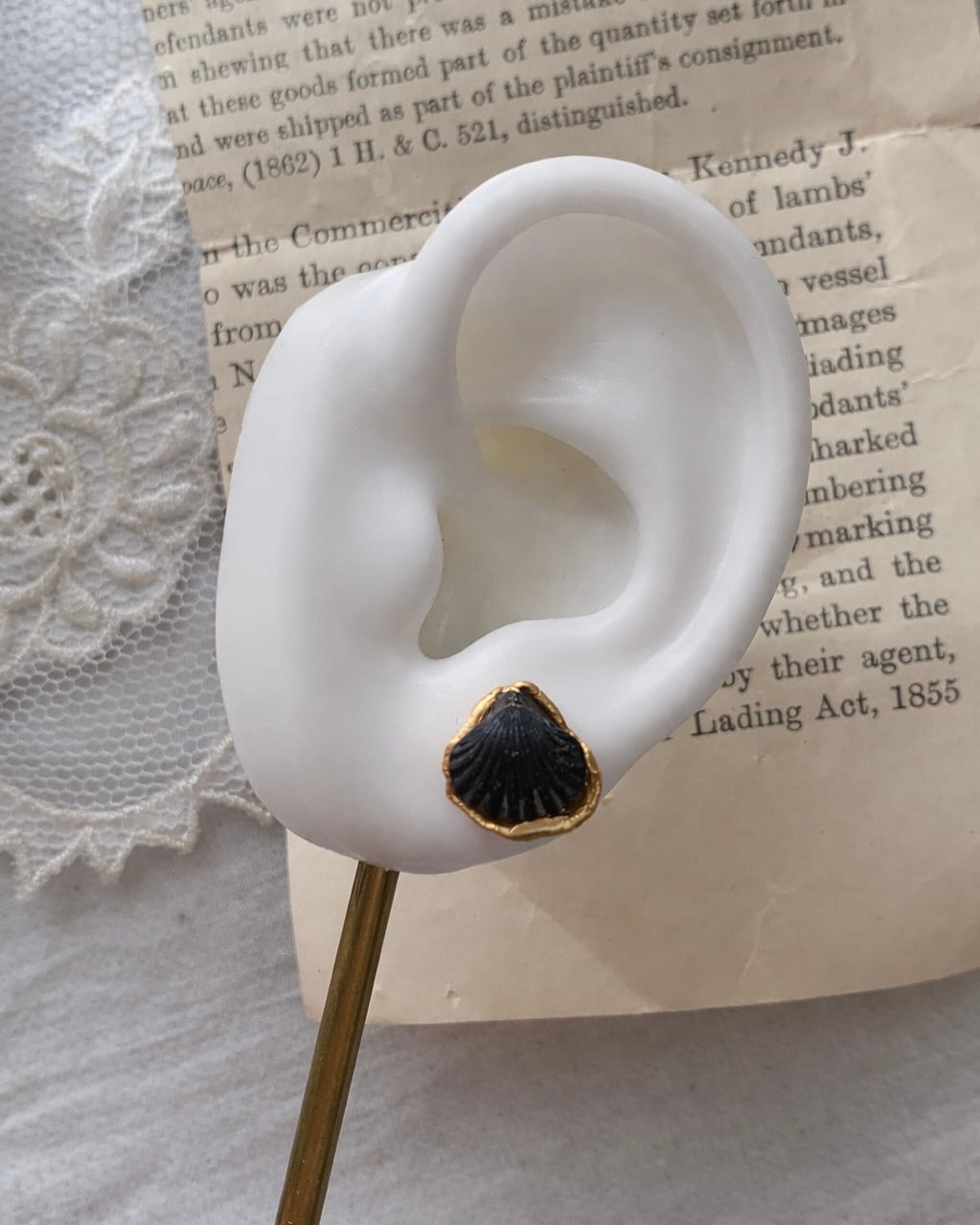 Fossil shell pierce