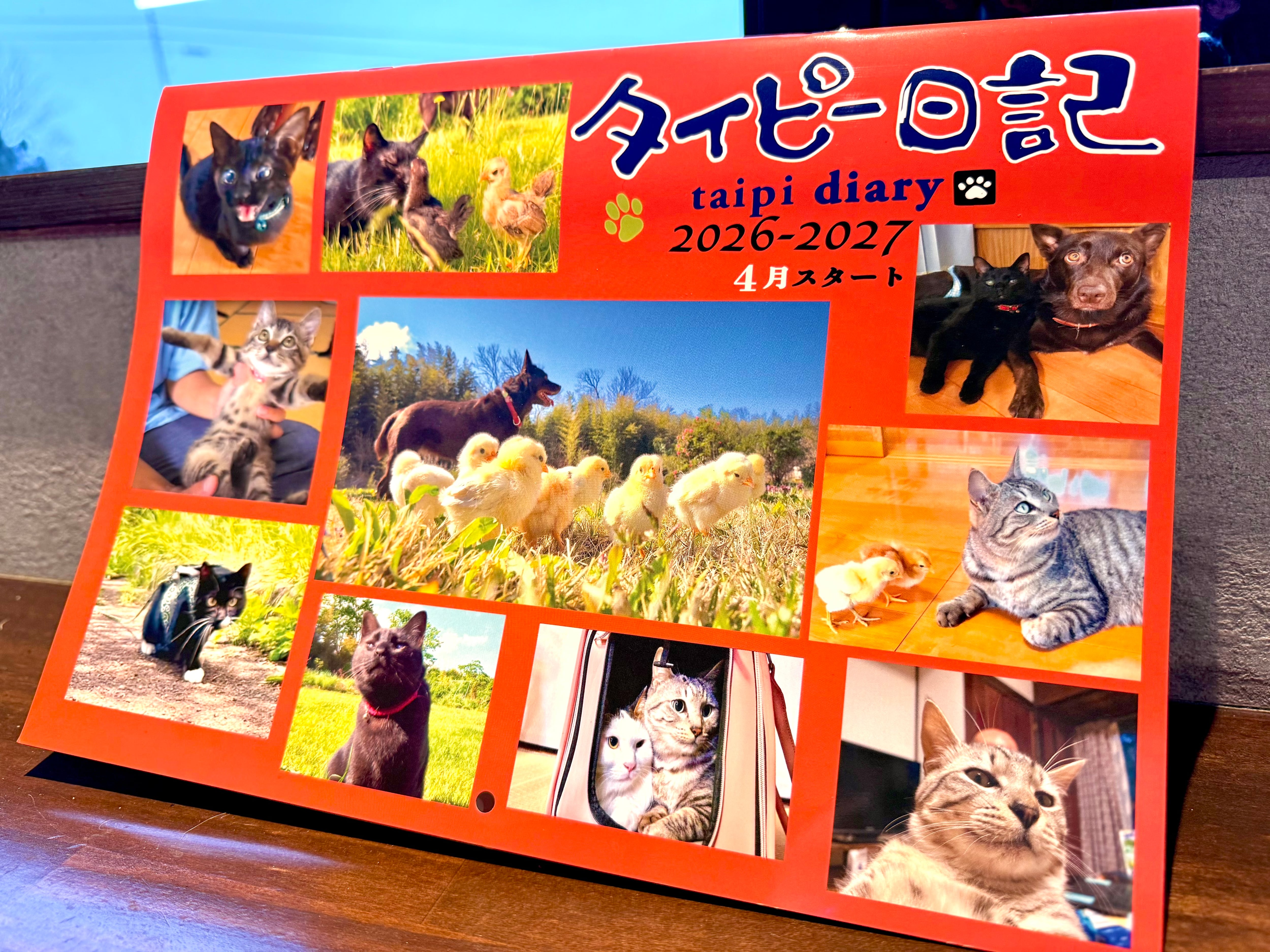 タイピー日記写真集壁掛けカレンダー（2026年4月スタート） | タイピー