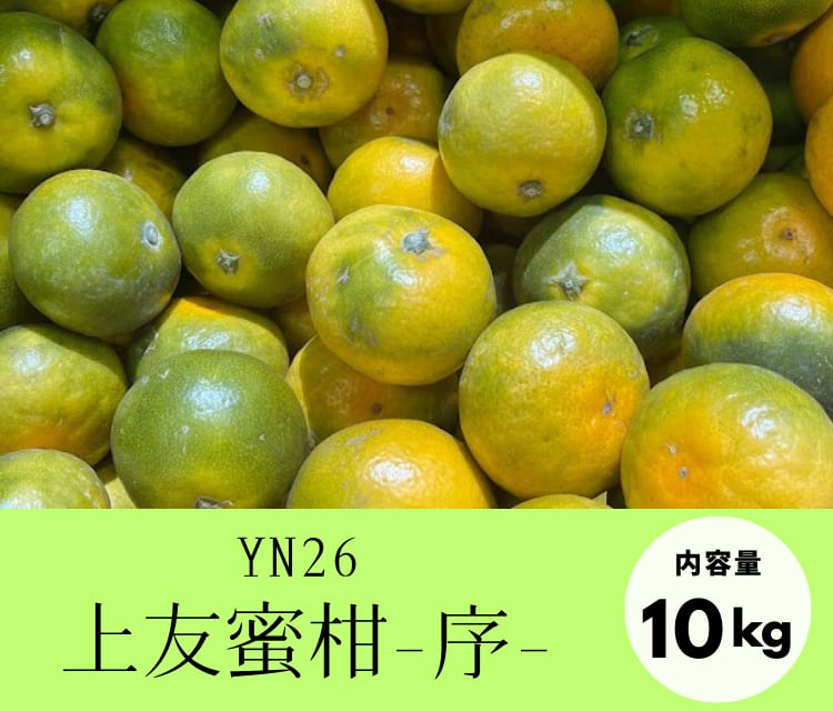 上友蜜柑-序-【YN26・10kg】