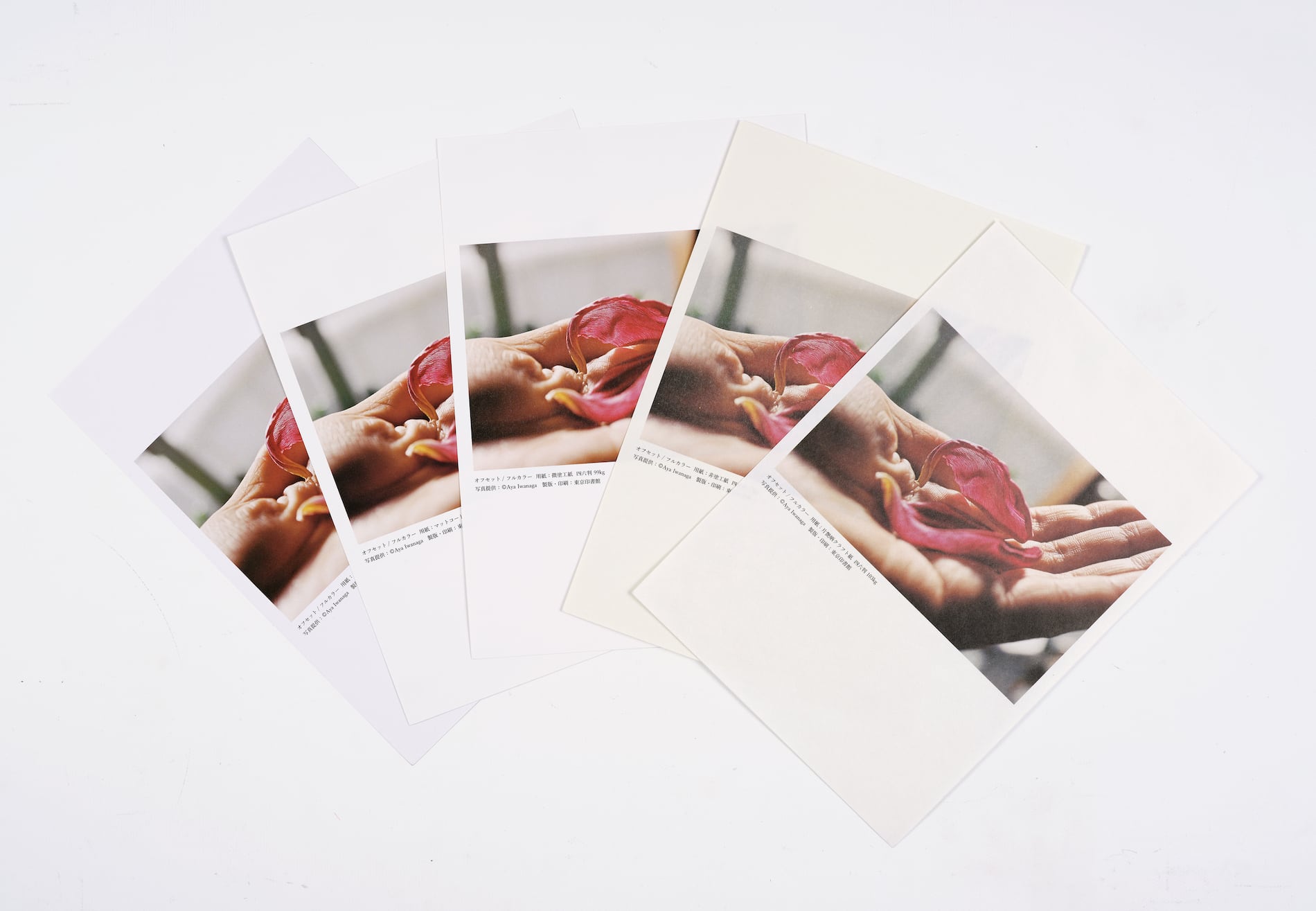 オフセット・写真印刷見本 〜 紙による多彩な表現をみる | PRESSMAN BOOKS