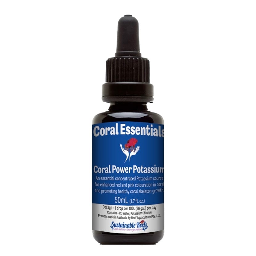 Coral Essentials コーラルエッセンシャル | HOUSE REEF(ハウスリーフ