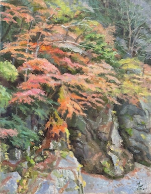 油絵#19「渓谷紅葉」F6 / Oil Painting #19 "Autumn leaves in the valley"