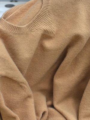 color crew neck knit（biscuit）