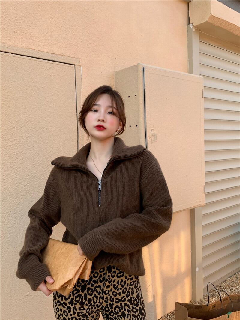 セーター オータムウィンタージッパースタンダードルーズショートコート ジャケット レトロ 秋物 冬物 ブラックストロベリース87264124630