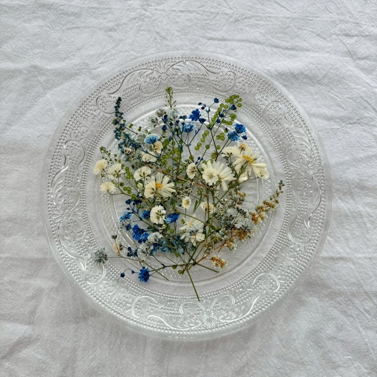 6種のドライフラワーセット m flowers様コラボ企画