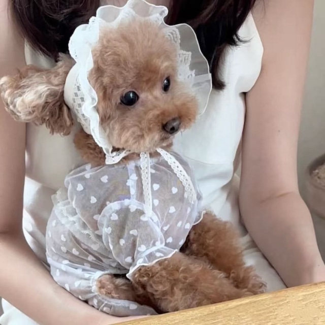 【PET】レース帽子&ハート柄刺繍チュールワンピースセット