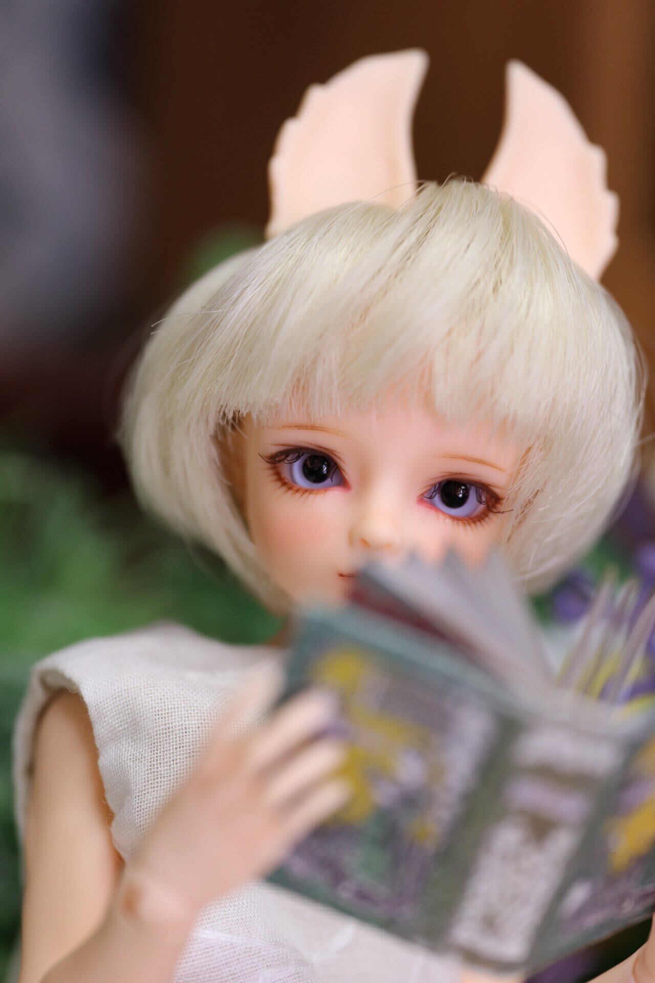 特別セーフ elfinstore ハーモニーS ボン 1 7 hife.hr